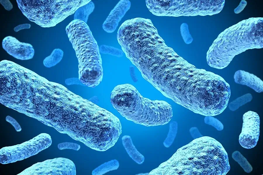 bacteria and parasites