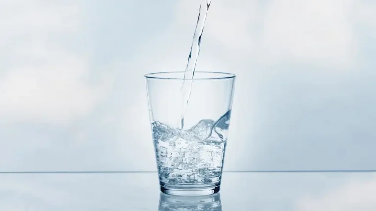 Best Water Filter for Bacteria and Viruses