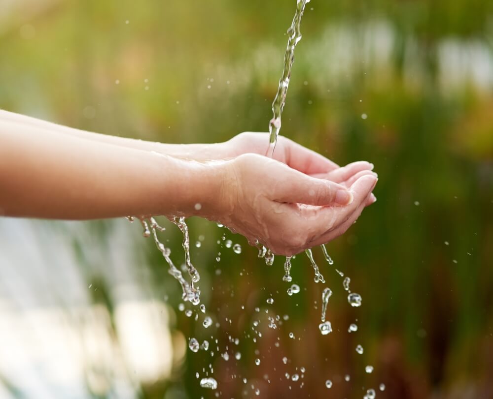 The Best Water Filter